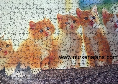 1000 Parça Ahşap Puzzle