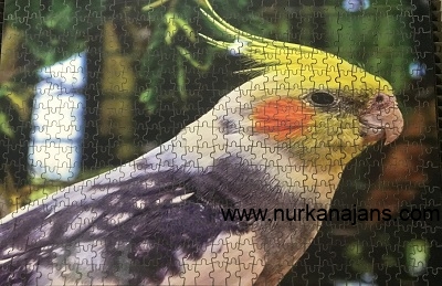250 Para Ahap Puzzle