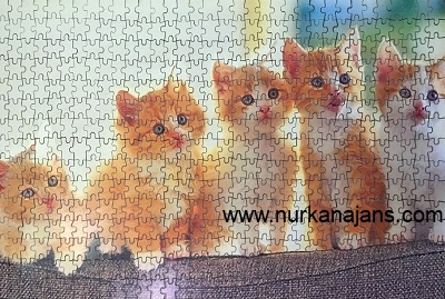 500 Parça Ahşap Puzzle