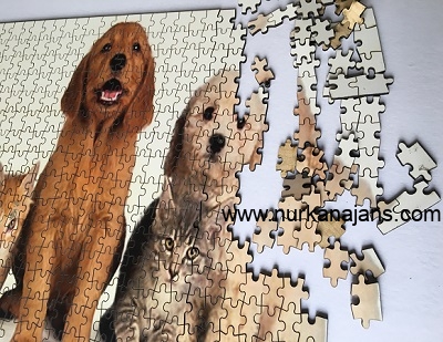 500 Para Ahap Puzzle